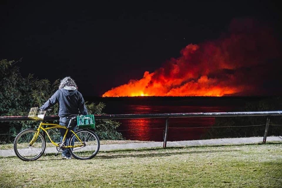 La Corte ordenó crear el Comité de Emergencia Ambiental para detener los incendios en el Delta