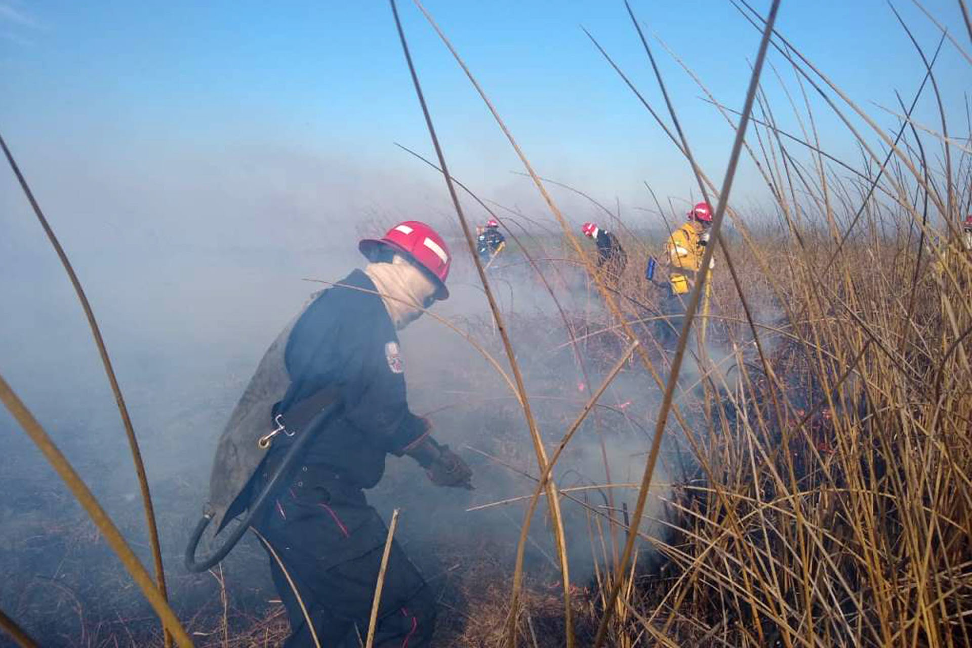 Continúan las tareas de combate del fuego en zonas del Delta del Paraná