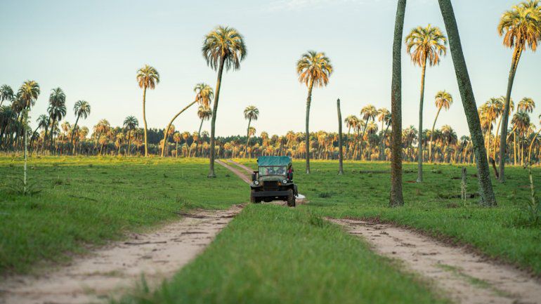 Turismo: el programa PreViaje facturó $10 mil millones en los primeros diez días