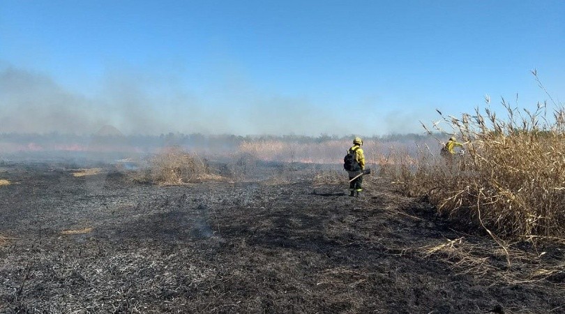 Anuncian que la lluvia apagó todos los focos de incendios en el Delta del Paraná