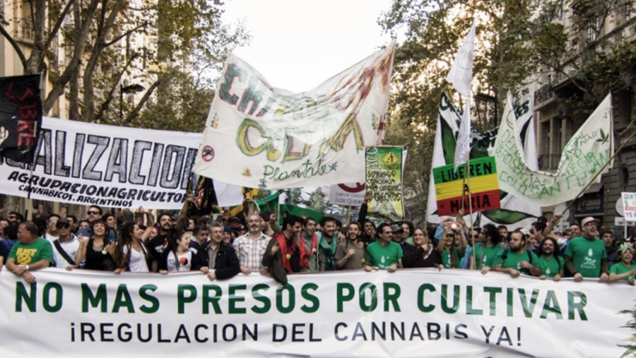 Organizaciones cannábicas realizan la Marcha Nacional de la Marihuana