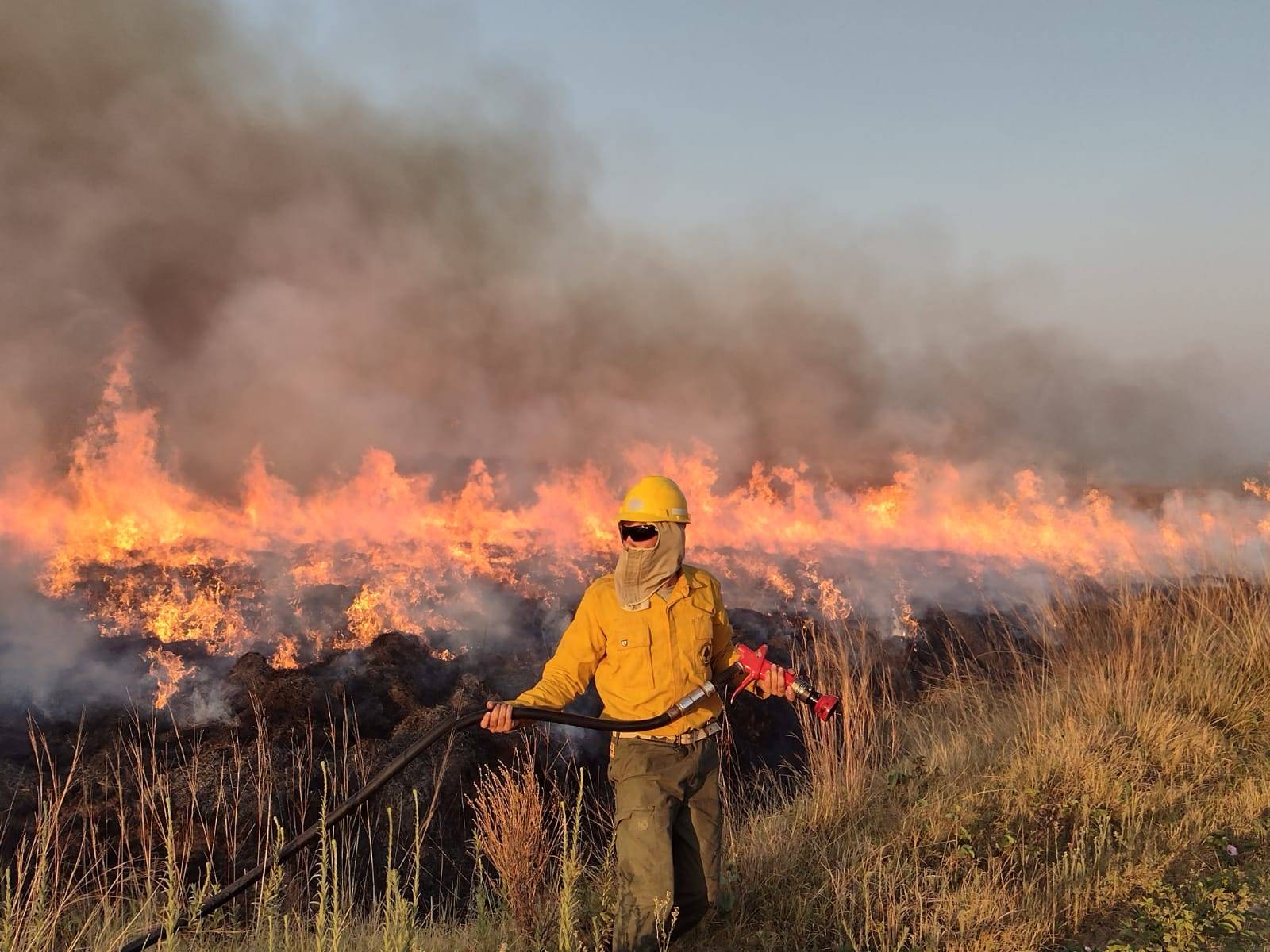 Lamentable: siguen los incendios forestales en Corrientes, Río Negro, Misiones, Chubut y Formosa