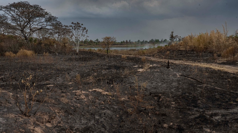 La lluvia apagó todos los incendios de Corrientes, tras dos meses de una sequía histórica