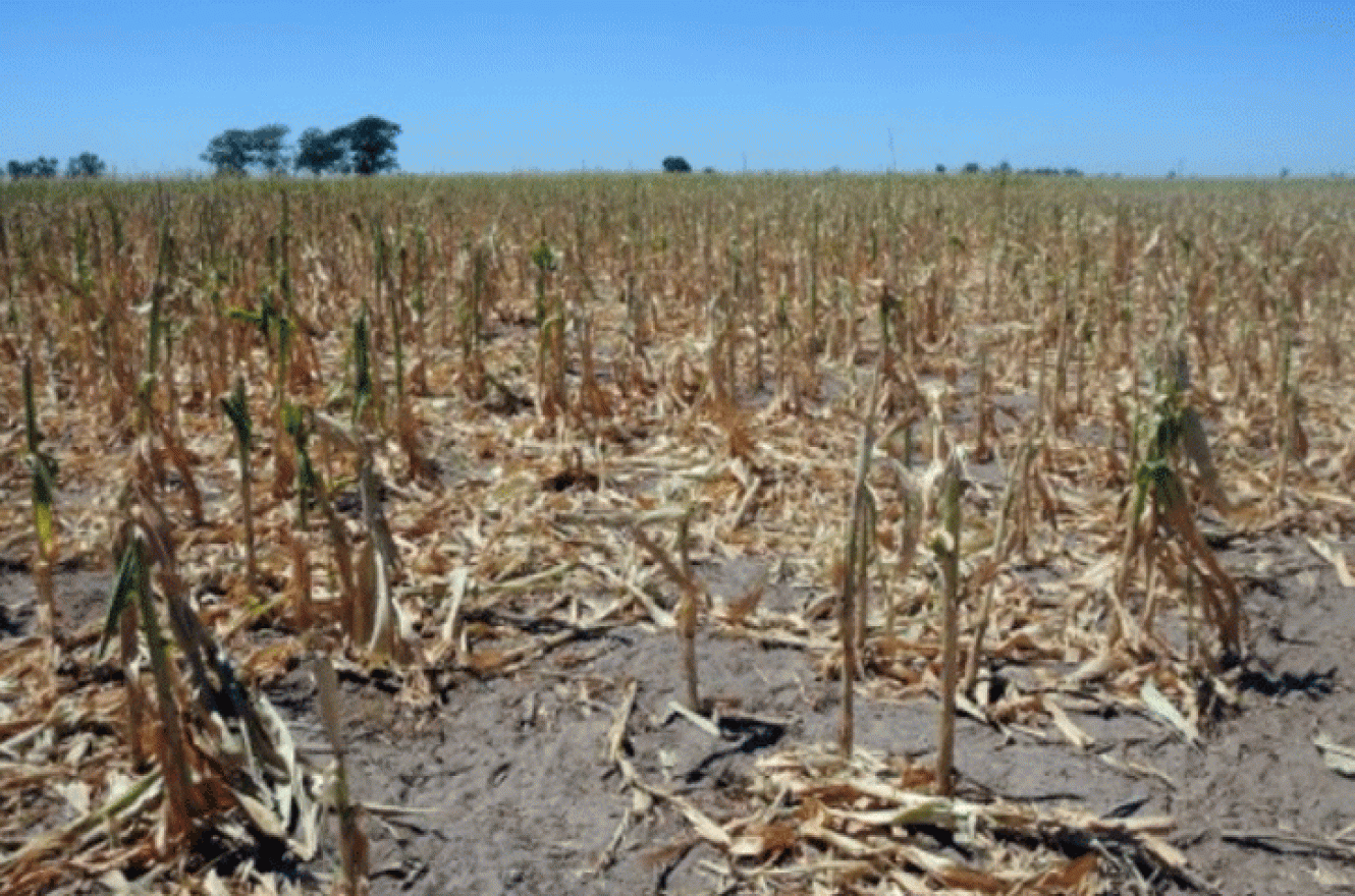 Nación declaró la emergencia agropecuaria en Entre Ríos