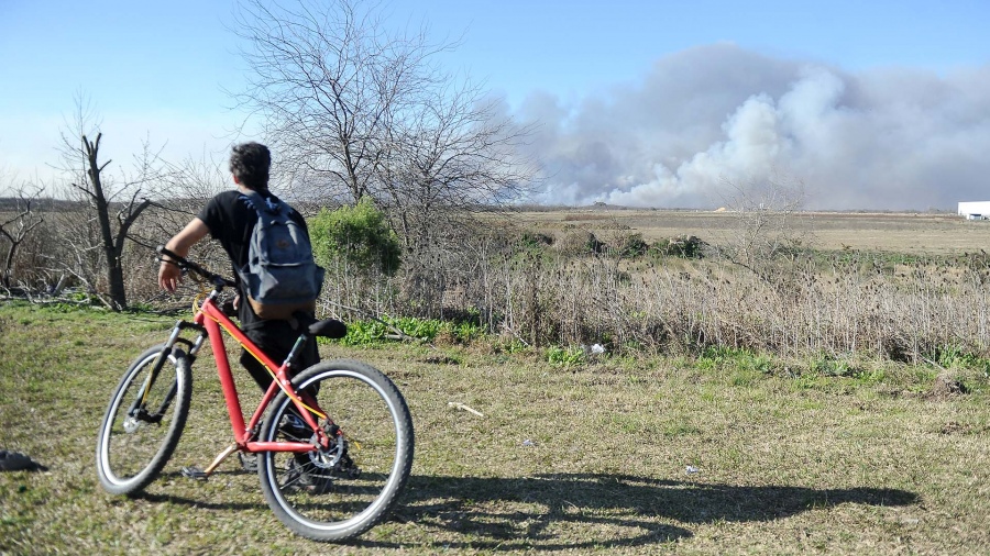 Brigadistas combatieron focos de incendios en las islas del Delta