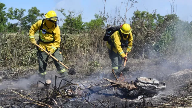 Quema en las Islas: detuvieron a tres personas en Victoria