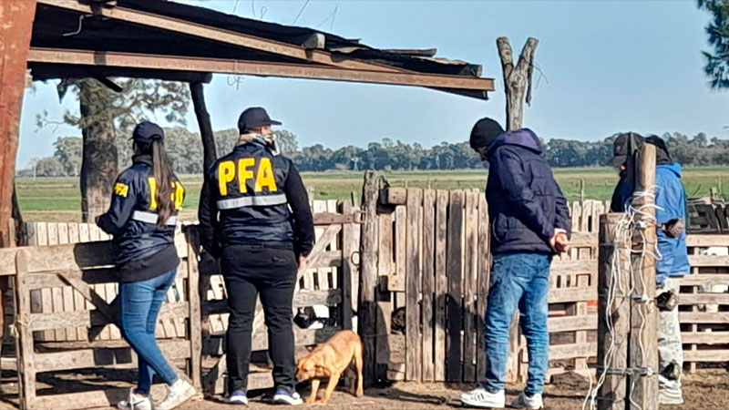 Rescataron a una familia entrerriana que era explotada en un tambo lechero