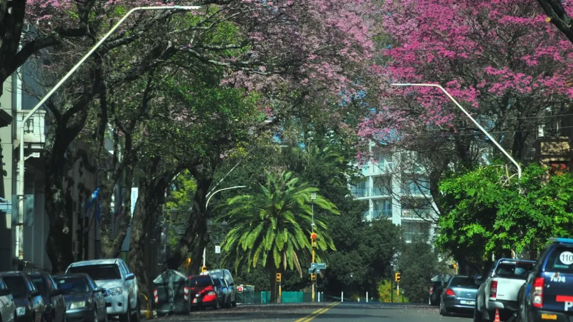 Clima en Entre Ríos: Preveen sensaciones térmicas de 34 grados