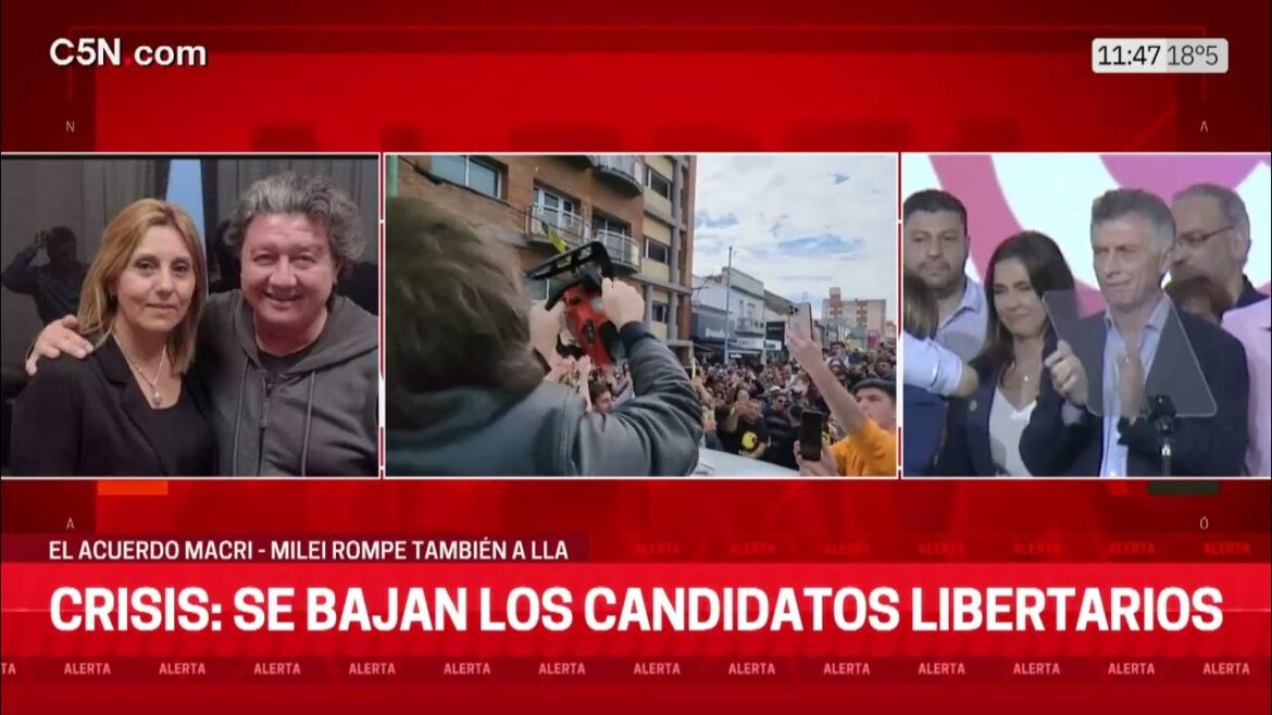 Crisis en La Libertad Avanza: candidatos se bajan de la coaliación