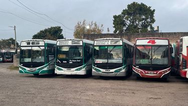 Bahl anunció la sanción a una empresa de colectivos por reducir los horarios de transporte