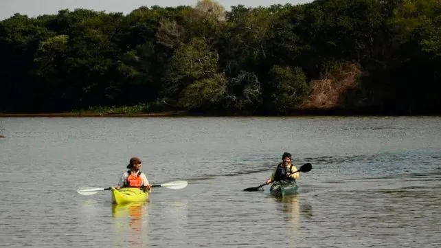 Humedales: crearon un parque natural en el río Uruguay