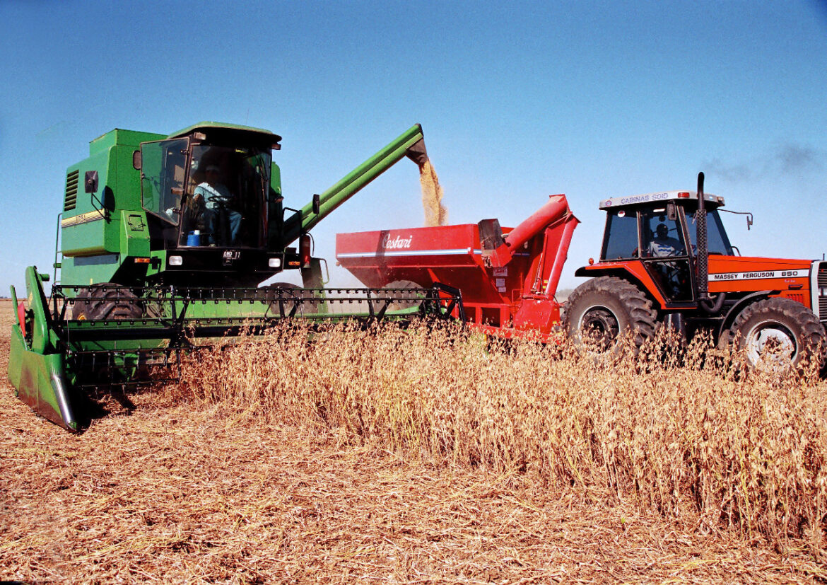 Las lluvias dan respiro al Agro y promete divisas para el 2024