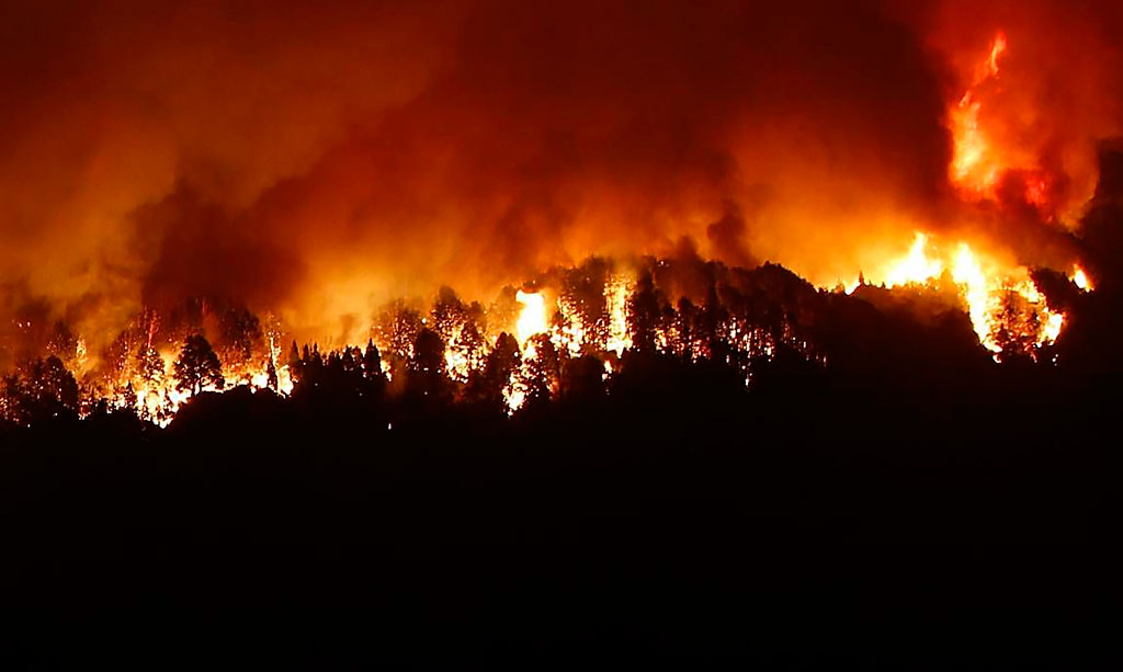 Incendio en el Parque Nacional Los Alerces: denuncian intencionalidad