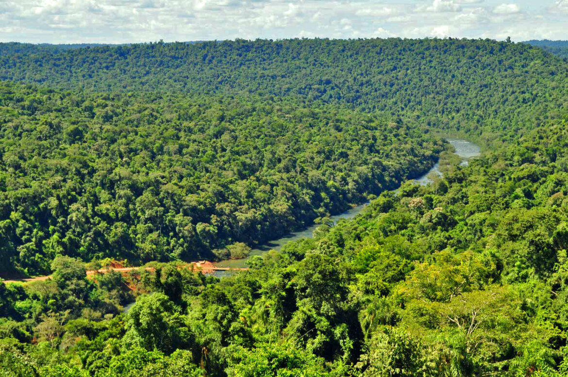 Cuáles son los riesgos en materia ambiental que deja la ley Ómnibus