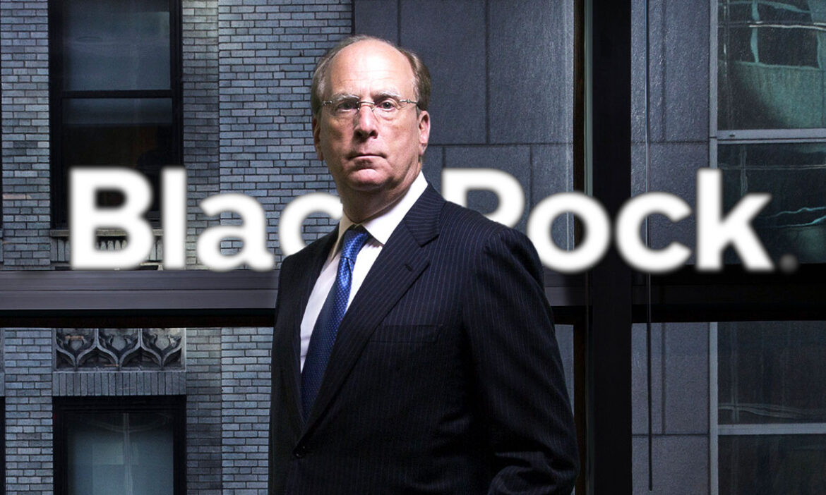 BlackRock con los ojos puestos en la compra de empresas públicas