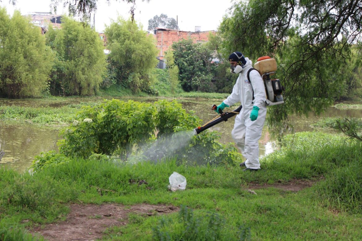 Entre Ríos: disminuyen los casos de dengue