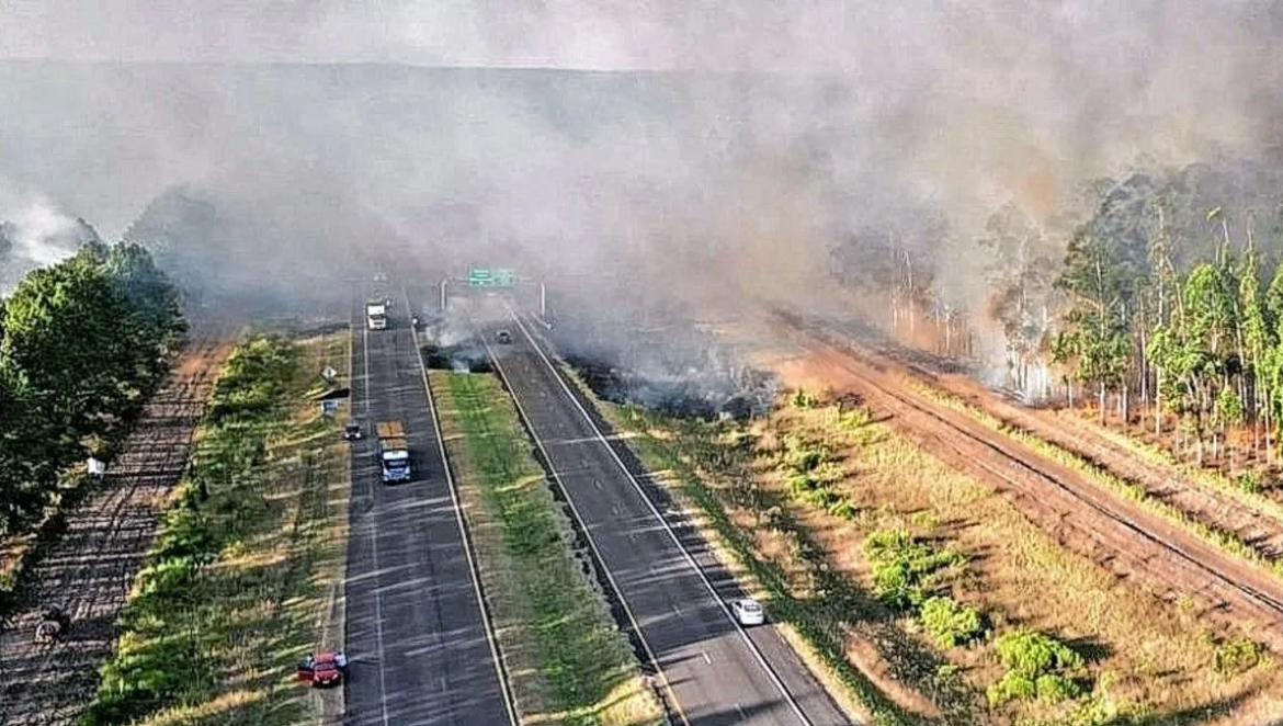 Concordia declara la emergencia Ígnea ante los recientes incendios forestales