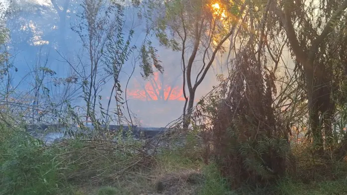 Incendio arrasó 20 hectáreas en el Parque San Martín