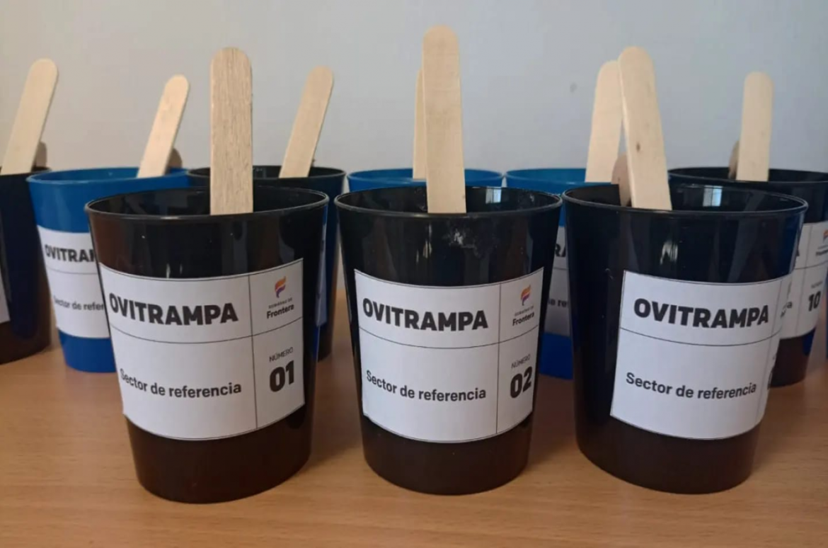 Paraná: el Municipio coloca «ovitrampas» para prevenir el dengue en distintos barrios