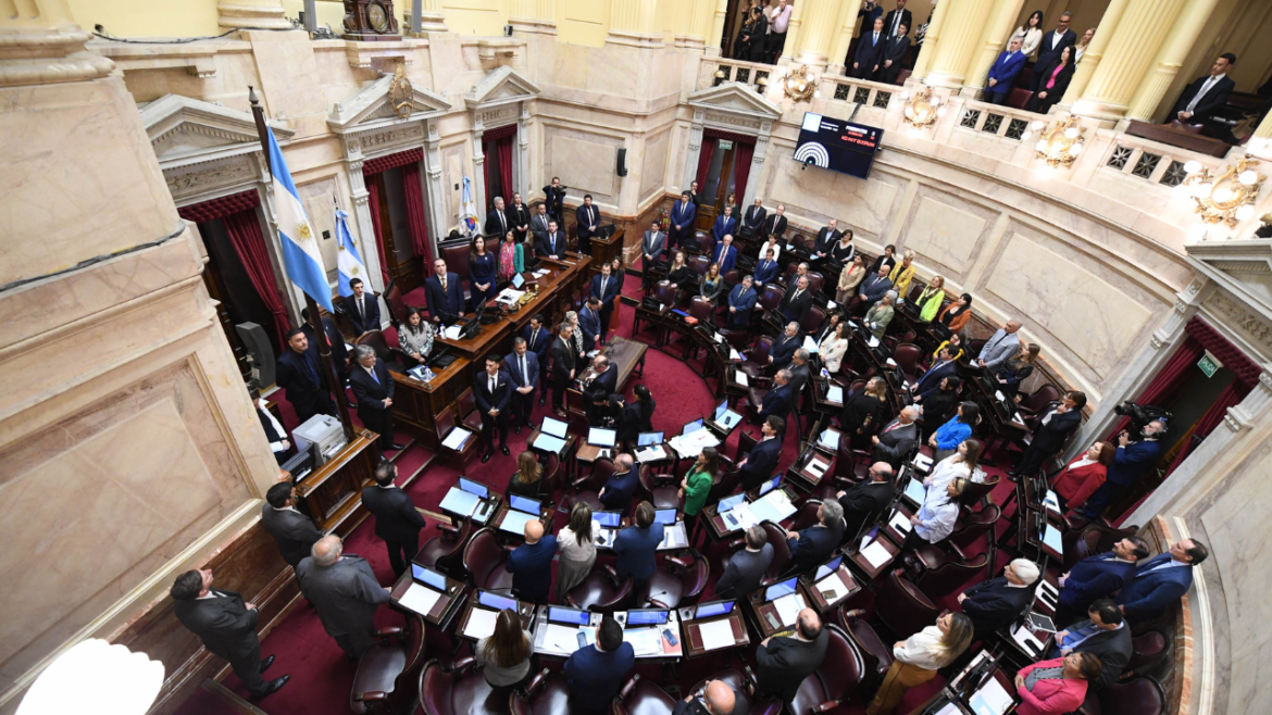 El Senado define Ficha Limpia