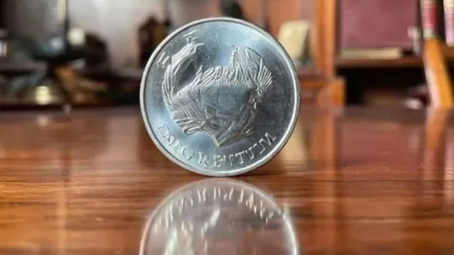 Argentum: proponen una nueva moneda para reemplazar al peso