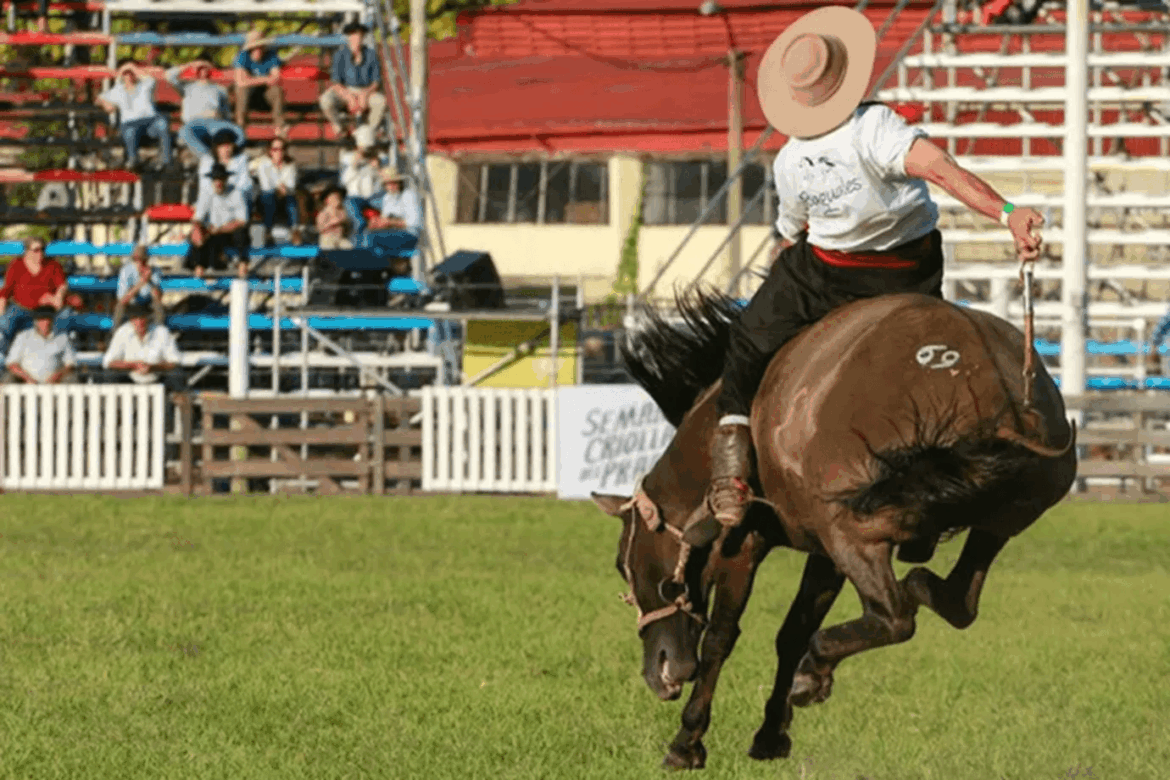 Jineteada en la mira: piden informes y suspensión en Oro Verde