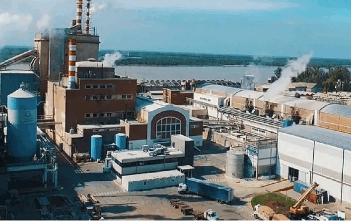 Celulosa Argentina frena operaciones en medio de crisis financiera