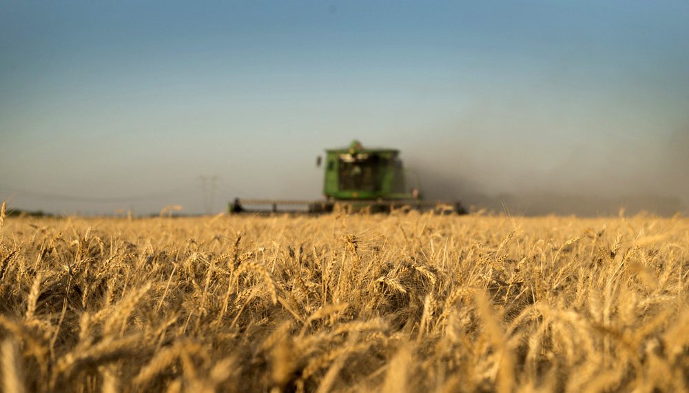 El Gobierno bajó a 0% las retenciones al campo