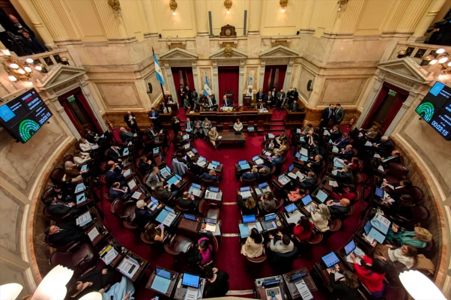 El Senado aprobó limitar DNU a Milei