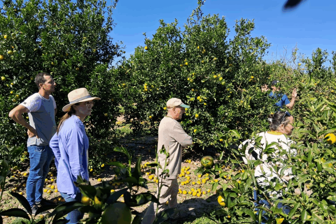 Se oficializó emergencia agropecuaria nacional por daños de granizo