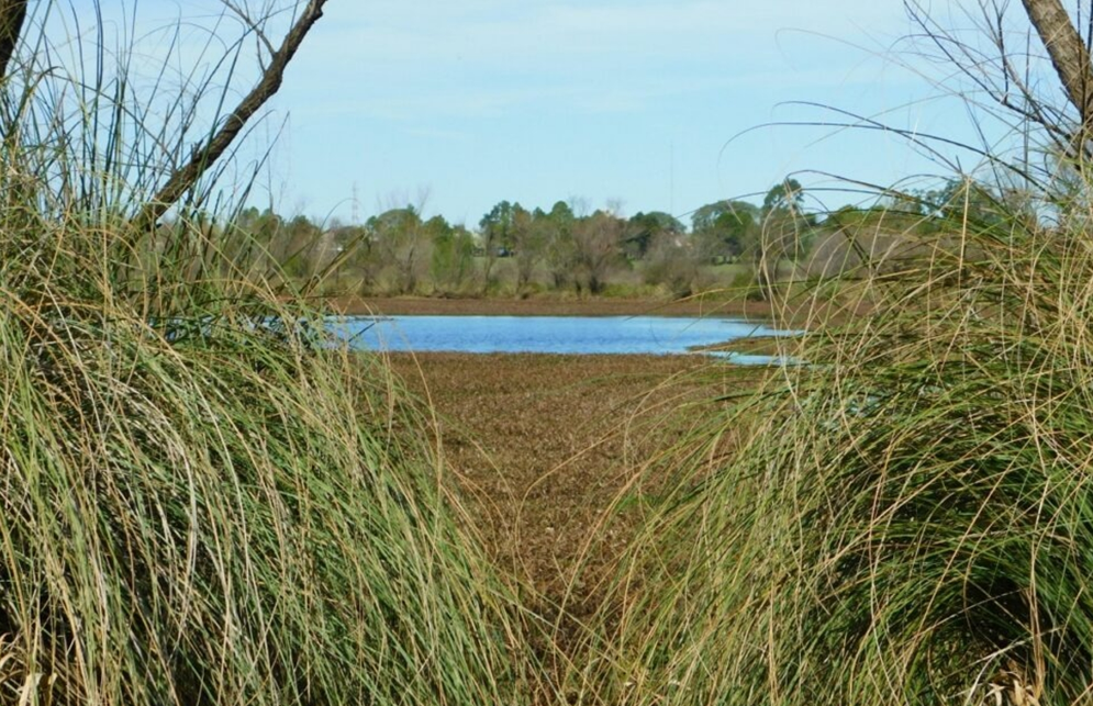 Entre Ríos será sede de un foro científico nacional sobre estudio de los mamíferos