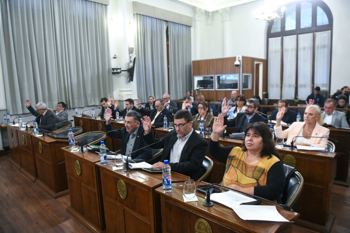 El Senado realizó su quinta Sesión Ordinaria
